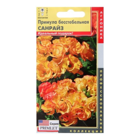 Seeds of the primrose "Sanraise", 5 pcs