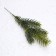 Decor "spruce spray", set of 10 pcs., Size 1 pc. - 23 × 7 × 2 cm