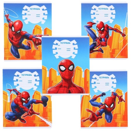 Notebook in a cage 12 sheets, 5 types of mix, cover coated cardboard, spider-man-6