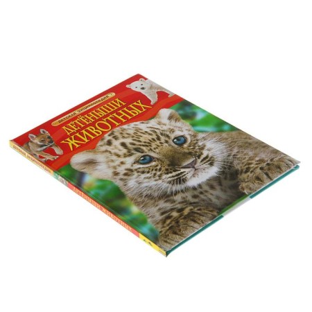 Children's Encyclopedia. Baby animals-1
