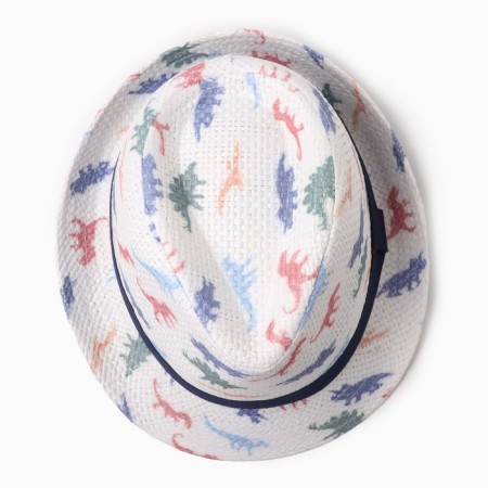 Hat for boys "dinosaurics" Minaku, rr 52-54, col. white-1
