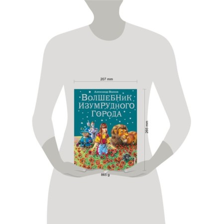 Волшебник Изумрудного города (ил. В. Канивца) (#1). Волков А.М.-5