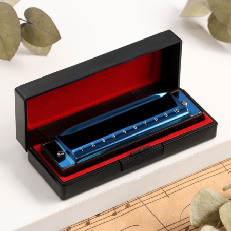 Music Life T003 Clinkle C diatonic, 10 holes, with a case, blue-4