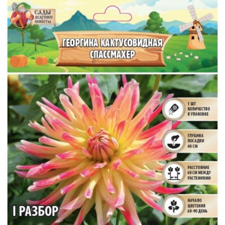 Georgin Cactus-shaped "Spassmacher", rr I, 1 pc, spring 2024