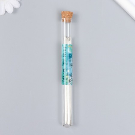 Needles metal for beads in a glass flask thin set 30 pcs Ø 0.7x118 mm 1.5x1.5x14 cm