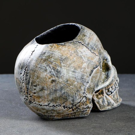 Skull stand "Skull" 16x15x22cm (Yershik n/steel)-10