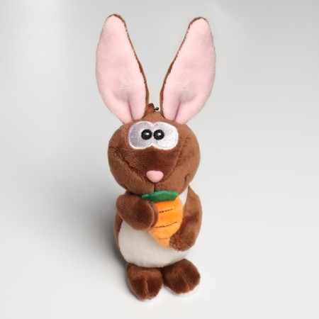 Set "Bunny", Clot on a hairpin, braid, rim, toy-8