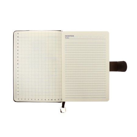 The diary of a non -section A5, 140l, cage, K/deputy, with a pen, in gift. box., brown-12