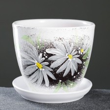 Flower Gerbera Potter Black 1 L