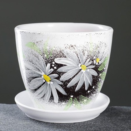 Flower Gerbera Potter Black 1 L