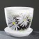 Flower Gerbera Potter Black 1 L