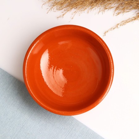 Saladnik "Vyatka" 0.5l, terracotta-1