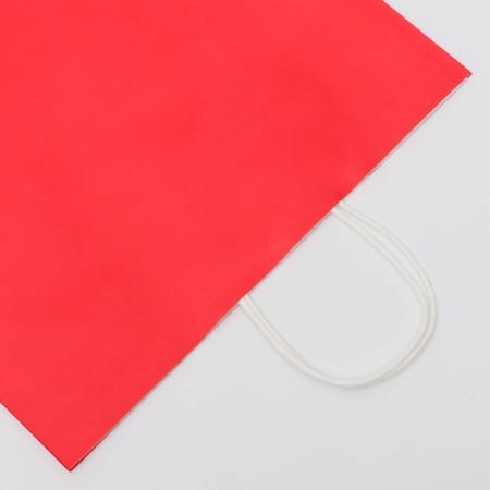 Craft fuchsia package, round handle, 32 x 19.5 x 37 cm, 120 g-1