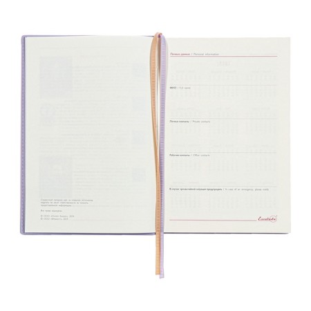 Dated 2025 diary, A5, 176 sheets of Escalada, a solid cover made of artificial leather, foil embossing, liesse, cream block 70 g/m2, lilac-6