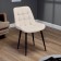 Chair president, beige software
