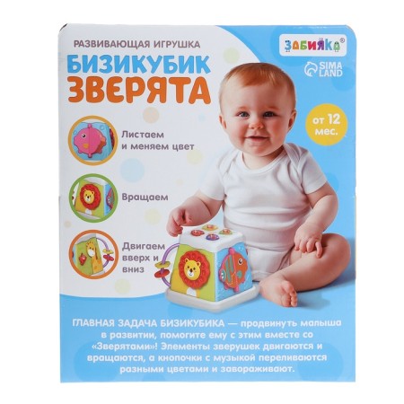 Zabiyaka musical developing toy "Bizikubik" SL-07258 Sound, light-12