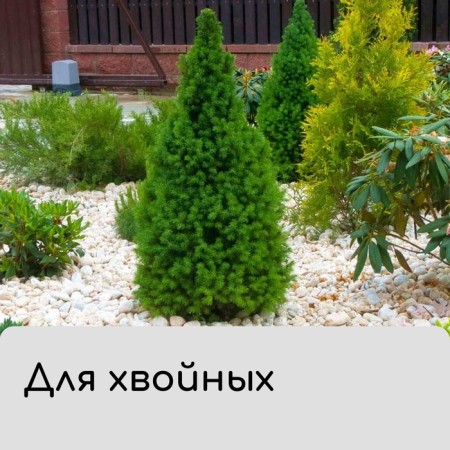 Case for plants, rectangular with zipper, 160 × 120 cm, spanbond with UV stabilizer, density 60 g/m², color mix-4