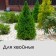 Case for plants, rectangular with zipper, 160 × 120 cm, spanbond with UV stabilizer, density 60 g/m², color mix