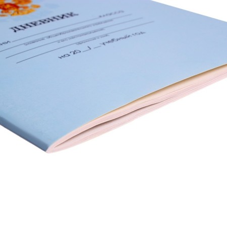 Universal diary for grades 1-11, "blue delicate plain", soft cover, 40 sheets-2