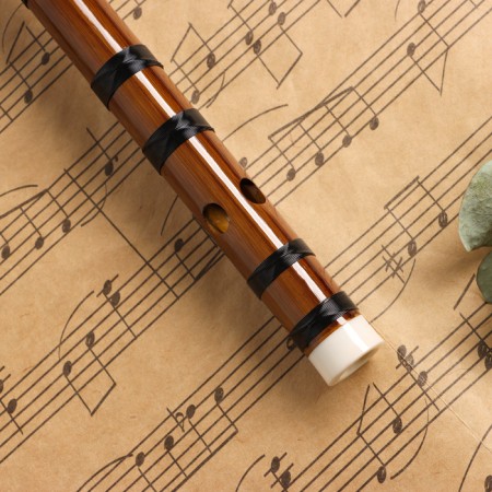 Music Life 48 cm, bamboo, tonality g-3
