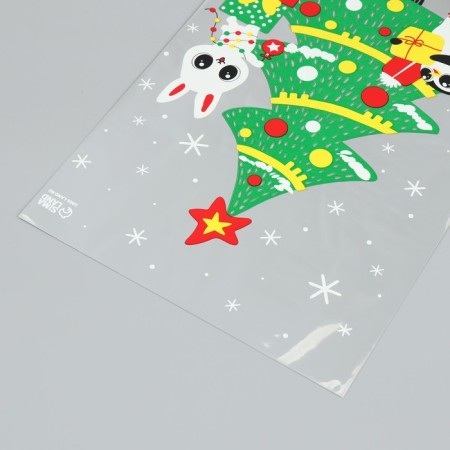 Plastic package "I hurry to you", 20 x 30 cm, new year-3