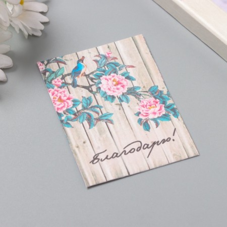 Postcard with seeds "grow itself" "thank" 5*7cm-1