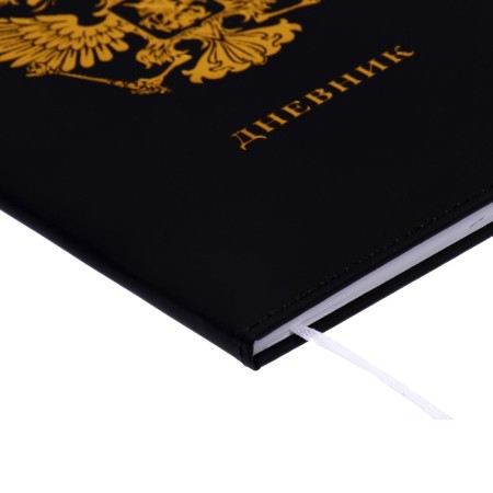 Universal diary for grades 1-11, solid cover, artificial leather, foil, lies, tinted block, 48 sheets-2