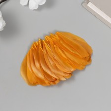 Decorative goose “autumn” pen in the shape of a sheet set 40 pcs h = 5-7 cm