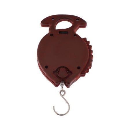Bezmen Luazon, mechanical, up to 10 kg, division price 100 g, mix-1