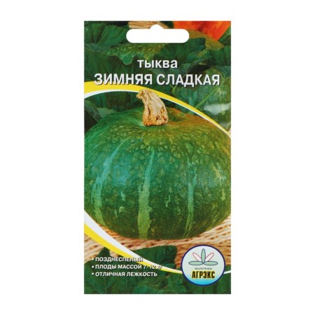 Seeds of pumpkin "Winter Sweet", 5 pcs