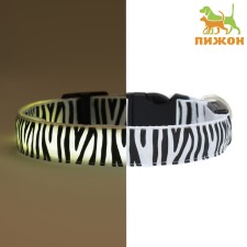 Collar with backlighting zebra 3 glow mode size XL, Osh 60-70 x 2.5 cm white