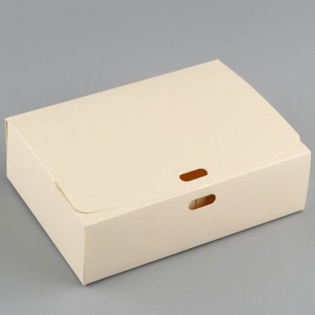 Gift folding box, packaging, "beige", 16.5 x 12.5 x 5 cm, without tape-2
