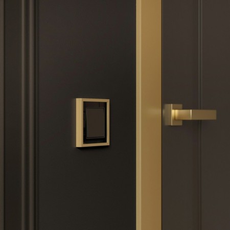 Frame W0012852, 1 Baguette socket, black brass-3