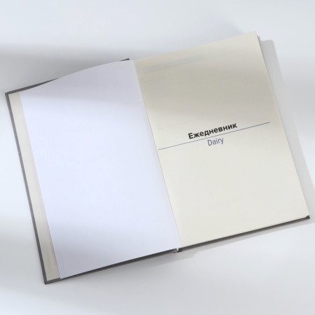 Deliciper of Leduced A5, 160 liters. Solid cover. Leatherette. Grey. Cream block-3