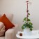 Support for orchids, 60 × 14 × 1 cm, plastic, color mix, "palm tree"