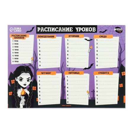 School schedule "For the smartest" paper, A4, MIX color-4