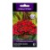 Flower seeds Balzamin Bicon Campari, 7pcs