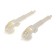 Holder on a suction cup with a clip for a lamp, ritter, white, 2pcs