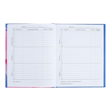 Diary for grades 5-11 "Shine!", Firm cover, glossy lamination, 48 sheets-6