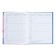Diary for grades 5-11 "Shine!", Firm cover, glossy lamination, 48 sheets