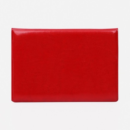 Cover for passport, red color-2