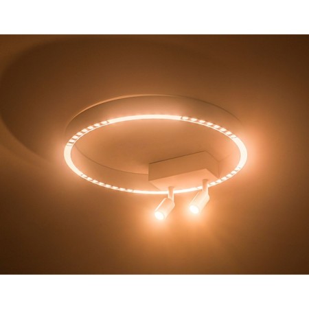 LED ceiling LED AMBRELLA LIGHT, LINETECH, FL5805, LED, 25 W, 2000LUM, 3000-6400K, white color-2