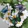 Butterflies for decor and floristry, on the clothespin, plastic, black, mix, 5 cm and 8 cm