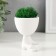 Kashpo concrete mini "Mr. Green Yog" with moss white 5.3x6x7 cm (moss green is stabilized.)