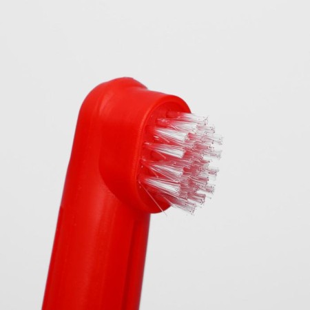 Set of dental brush two-sided and 2 brushes-lump, mix of flowers-6