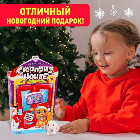 Advent Calendar Surpise House-4