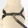 The reflective “bones” set, a collar of 120 x 1 cm, Osh 22-34 cm, fire 22-34 cm, black