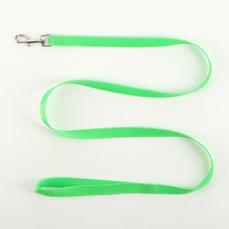 Set "Basis", leash 120 x 1.5 cm, OG 32-46 cm, green-3