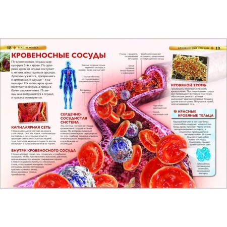 Children's Encyclopedia "Human Body"-4