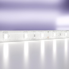 Maytoni LED tape, 24V, IP65, 2835, 4.8W/m, 6000k, 5 m, monochrome glow